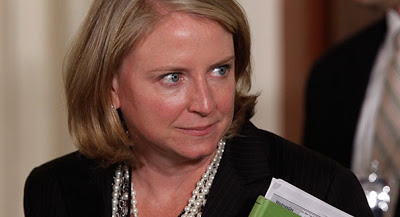 Mich. Dem chair’s wife lands two big party posts