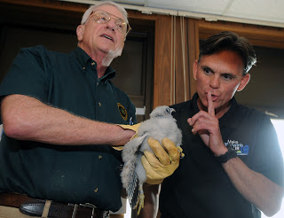 Hackel pecks away at Brooks Patterson