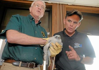 Hackel causes heads to explode