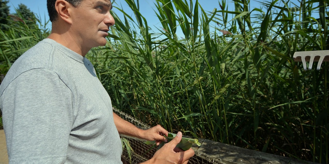 Environmental activists seek pollution solutions for Lake St. Clair