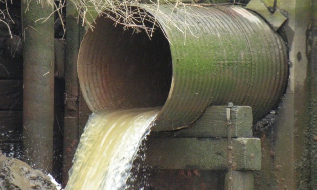 Miller calls for end to all sewage discharges into Lake St. Clair