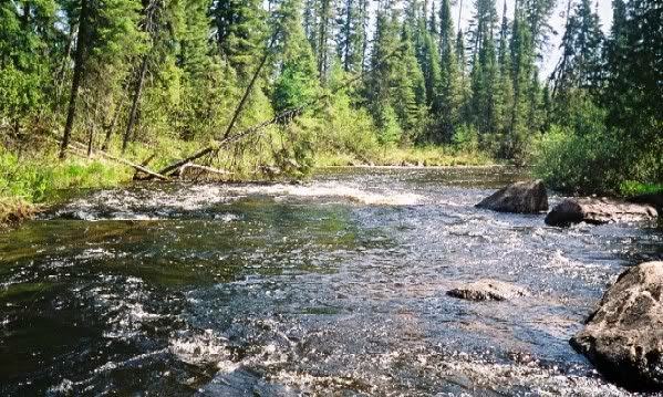 Government insider says Snyder’s ‘River of Opportunity’ is no joke