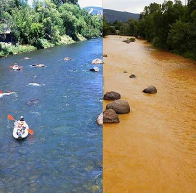 Why are environmental activists mum about toxic spill in Colorado?