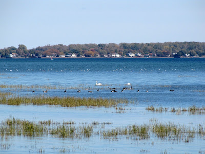 $1 million home sales having ‘incredible year;’ Macomb County left out