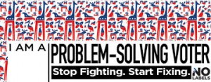 Problem-solving voter