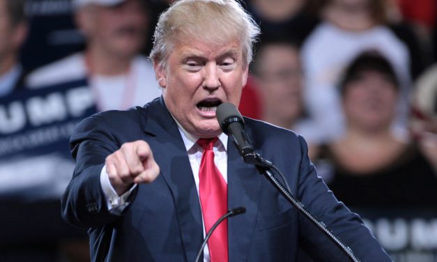 Mich. congressman stumps Trump on constitutional question
