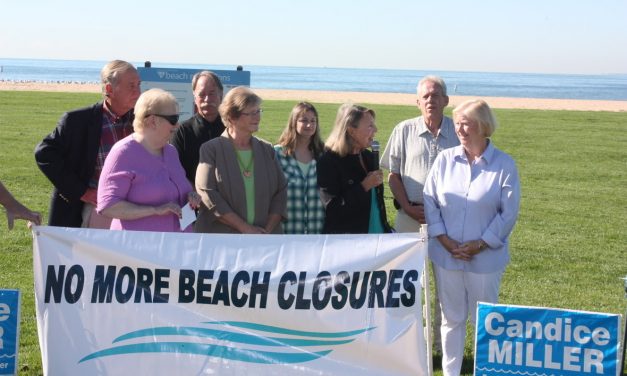 Environmentalists back Candice Miller as race turns nasty