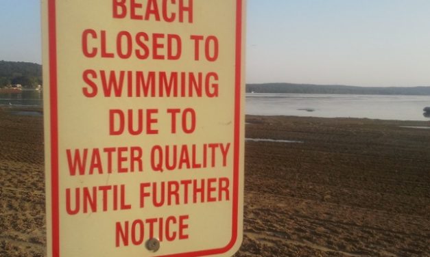 Two main Lake St. Clair beaches closed for Labor Day due to pollution