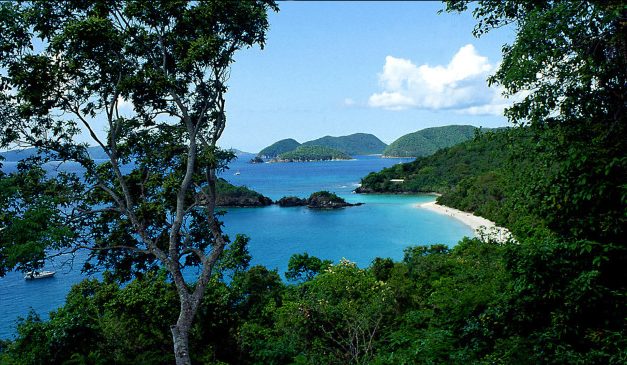 Yob’s connections yielded $27 million through Trump emails