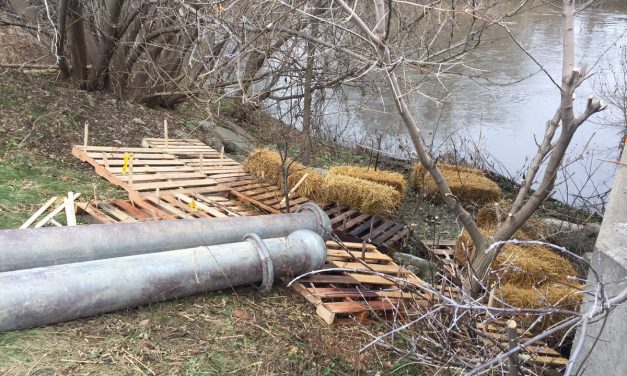 DEQ: Sinkhole released huge amount of raw sewage