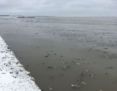 Environmental group urges water conservation on Super Bowl Sunday