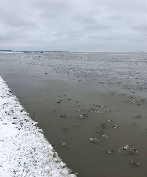 Environmental group urges water conservation on Super Bowl Sunday