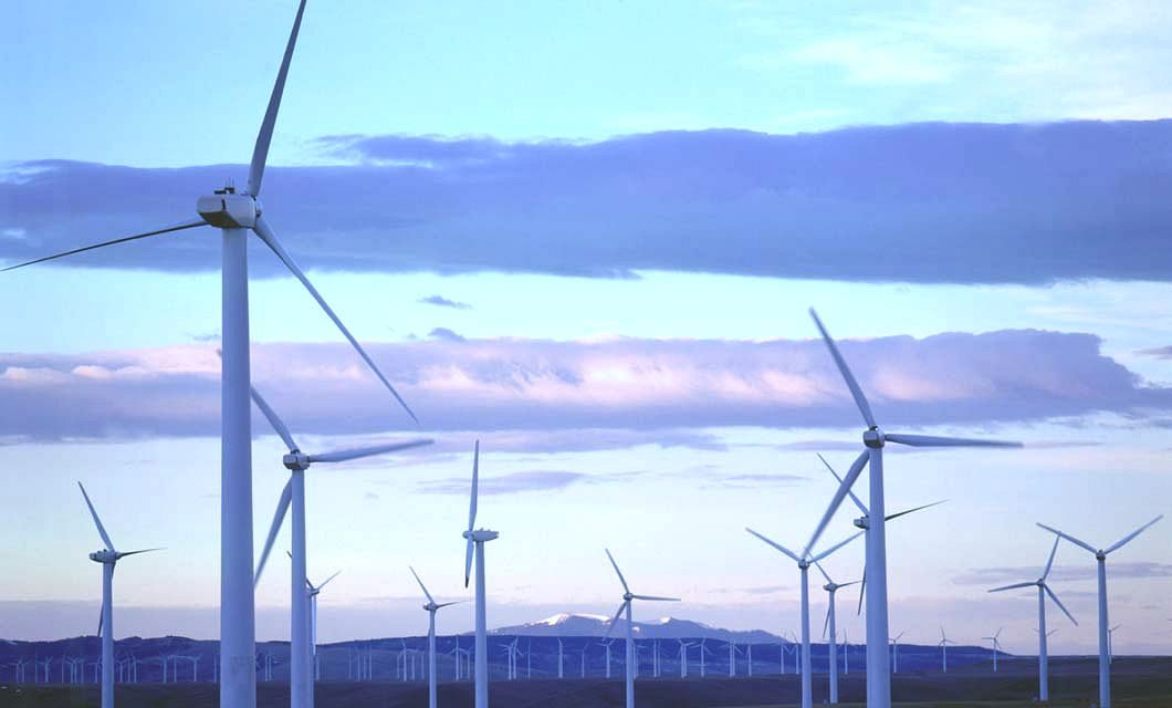 Wind power blown away at the ballot box