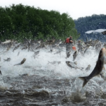 Saving Great Lakes from invasive species: Public, 350 ideas, Legislature, one bad idea Saving Great Lakes from invasive species: Public, 350 ideas, Legislature, one bad idea