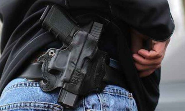 Michigan plan for guns in schools, churches captures national attention