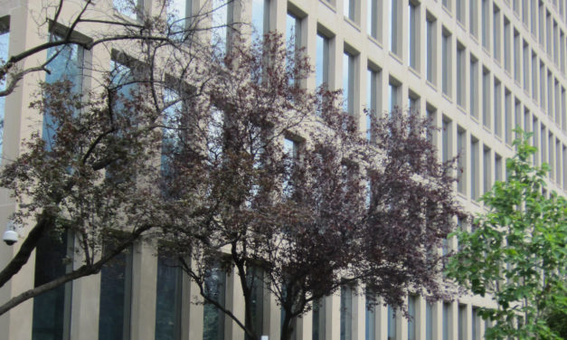 The federal ‘minimum’ wage? For many bureaucrats, it’s $100,000