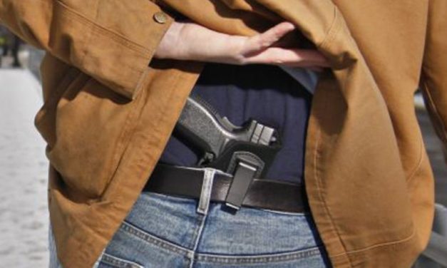 House gun bill will blow holes in Michigan concealed carry law