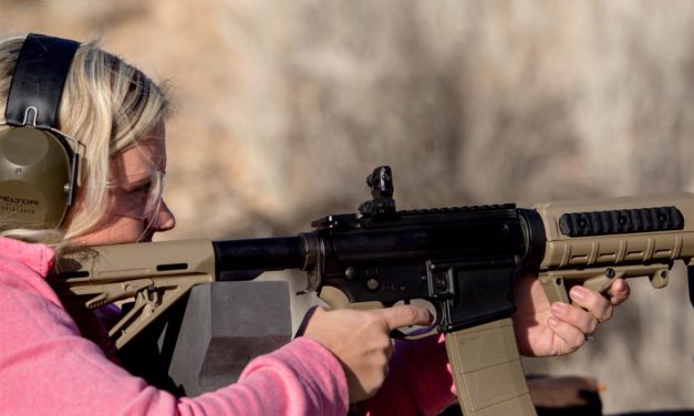 Local control may be key to solving America’s gun rights debate