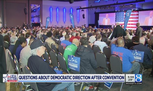 Democratic disunity: state party struggling with racial divisions