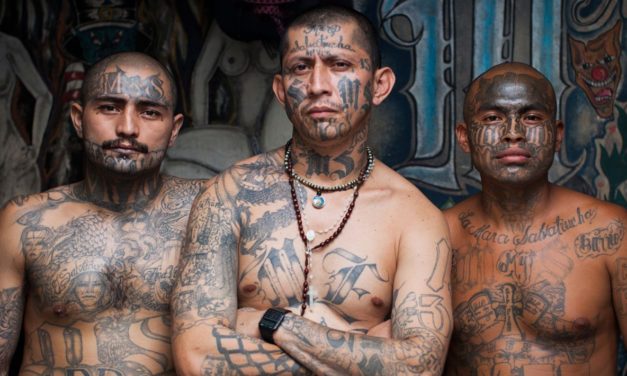 Lefty liberals inadvertently blast Trump’s ‘animals’ label for immigrant MS-13 gang members