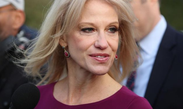 An omen? Conway unable to attend Mich. GOP rally due to ‘aircraft malfunction’