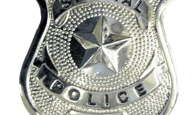 Lansing is now Crazytown? Bill in lame duck may allow private police forces