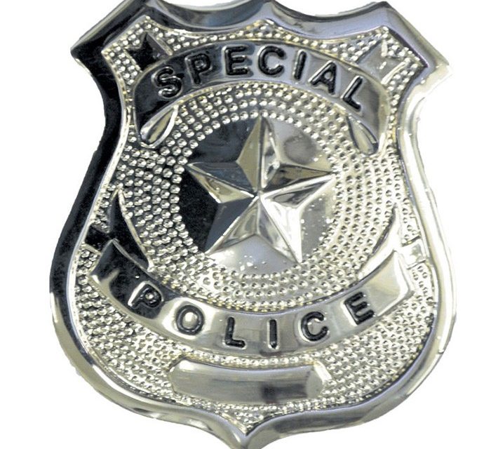 Lansing is now Crazytown? Bill in lame duck may allow private police forces