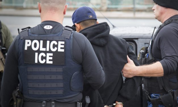 Number of U.S. companies charged with employing illegal immigrants? Zero