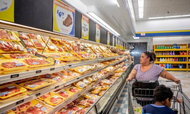 Work requirements for Food Stamps may sound like a good idea – No, it’s not