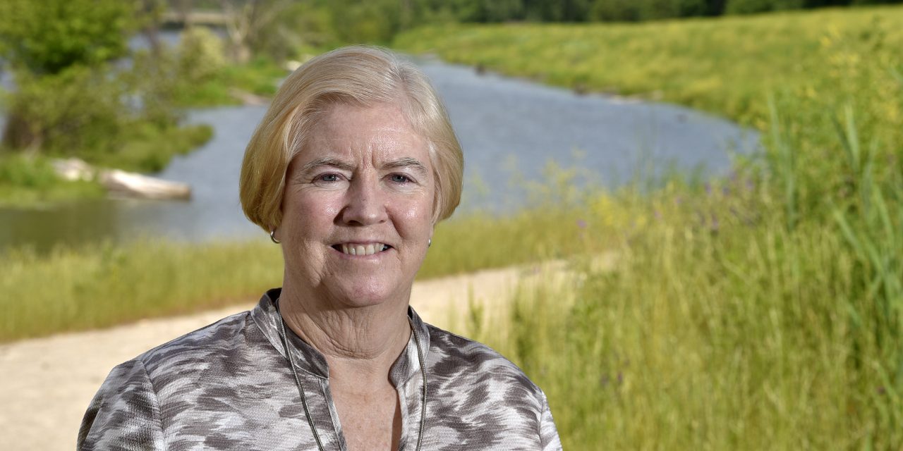 More than 60 million gallons of sewage dumped into Lake St. Clair during weekend storms