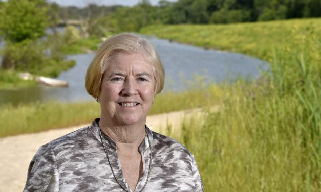 More than 60 million gallons of sewage dumped into Lake St. Clair during weekend storms