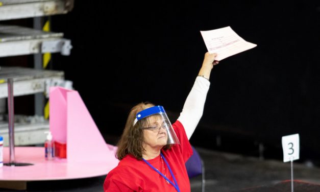 Arizona insanity over Trump election loss descends upon Michigan